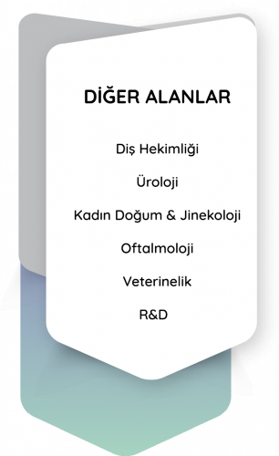 diğer alanlar