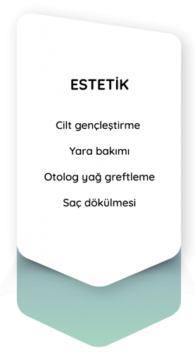 estetik